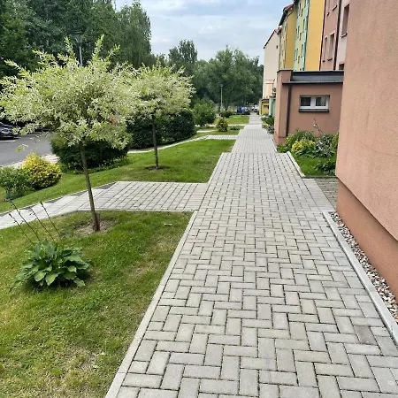 Weronika * Gryfów Śląski